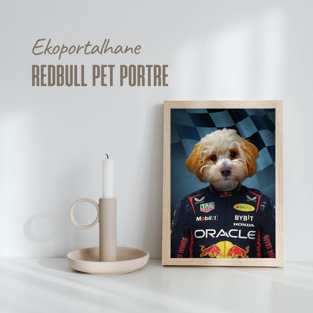 pet portre