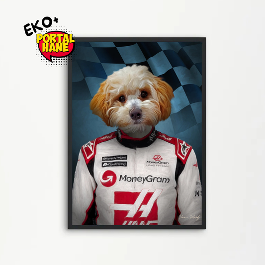 Haas Pet Portre