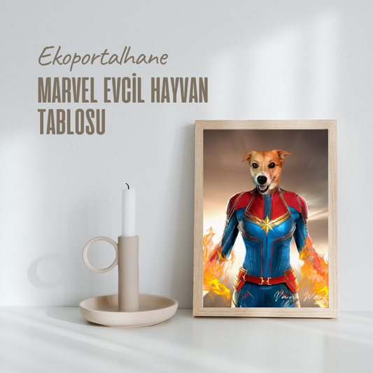 Marvel Evcil Hayvan Tablosu