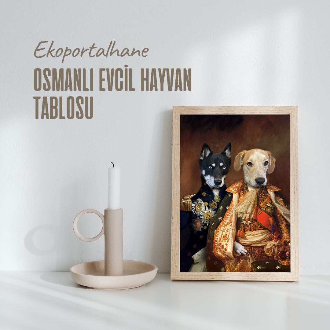  Evcil Hayvan Tablosu