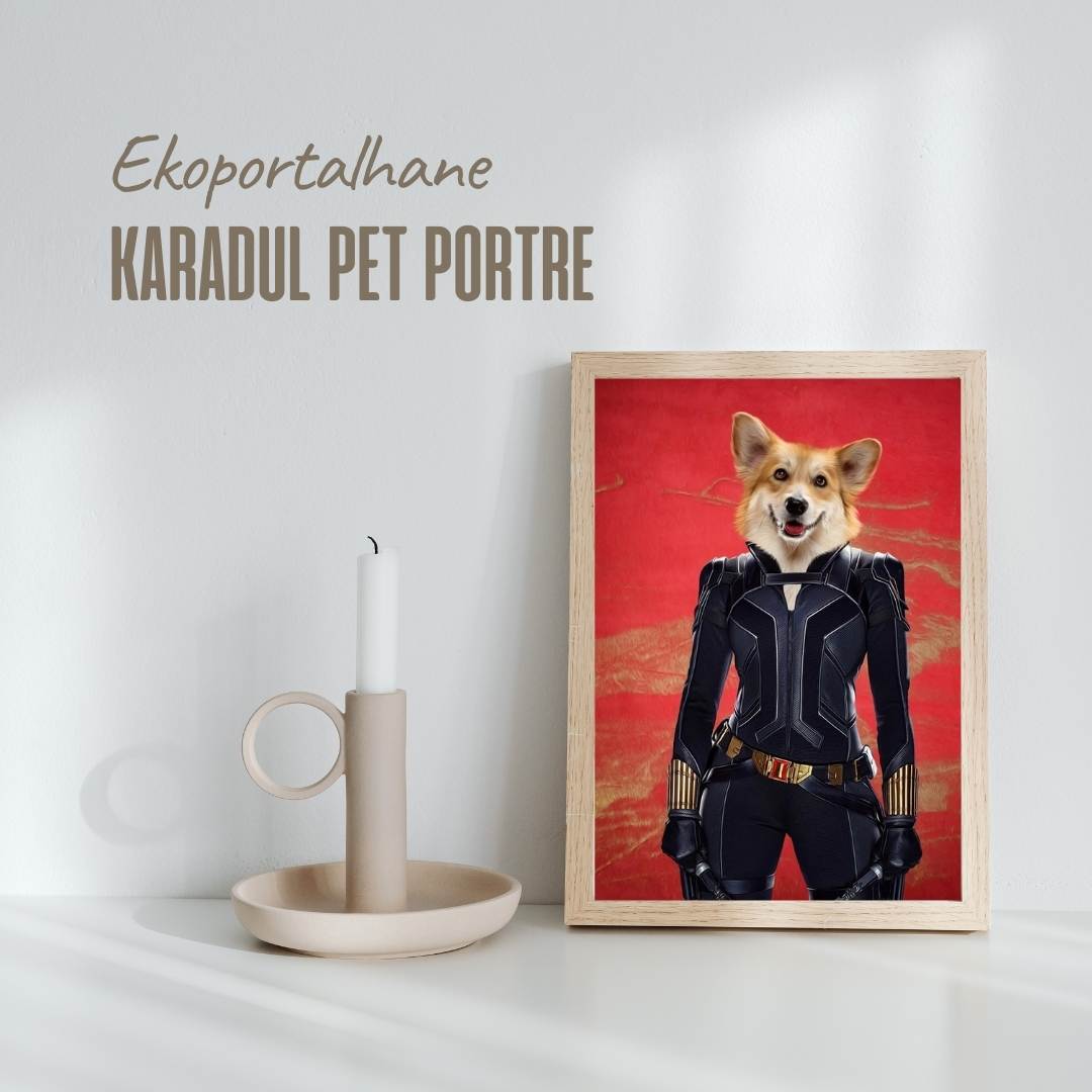 Karadul Pet Portre