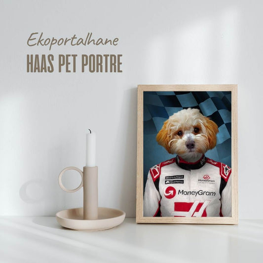 Haas Pet Portre